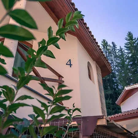 форте Pamporovo